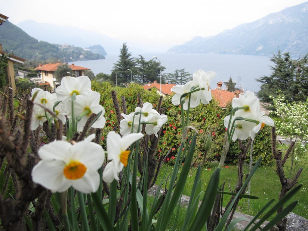 Villa Panorama Oliveto Lario Buitenkant foto
